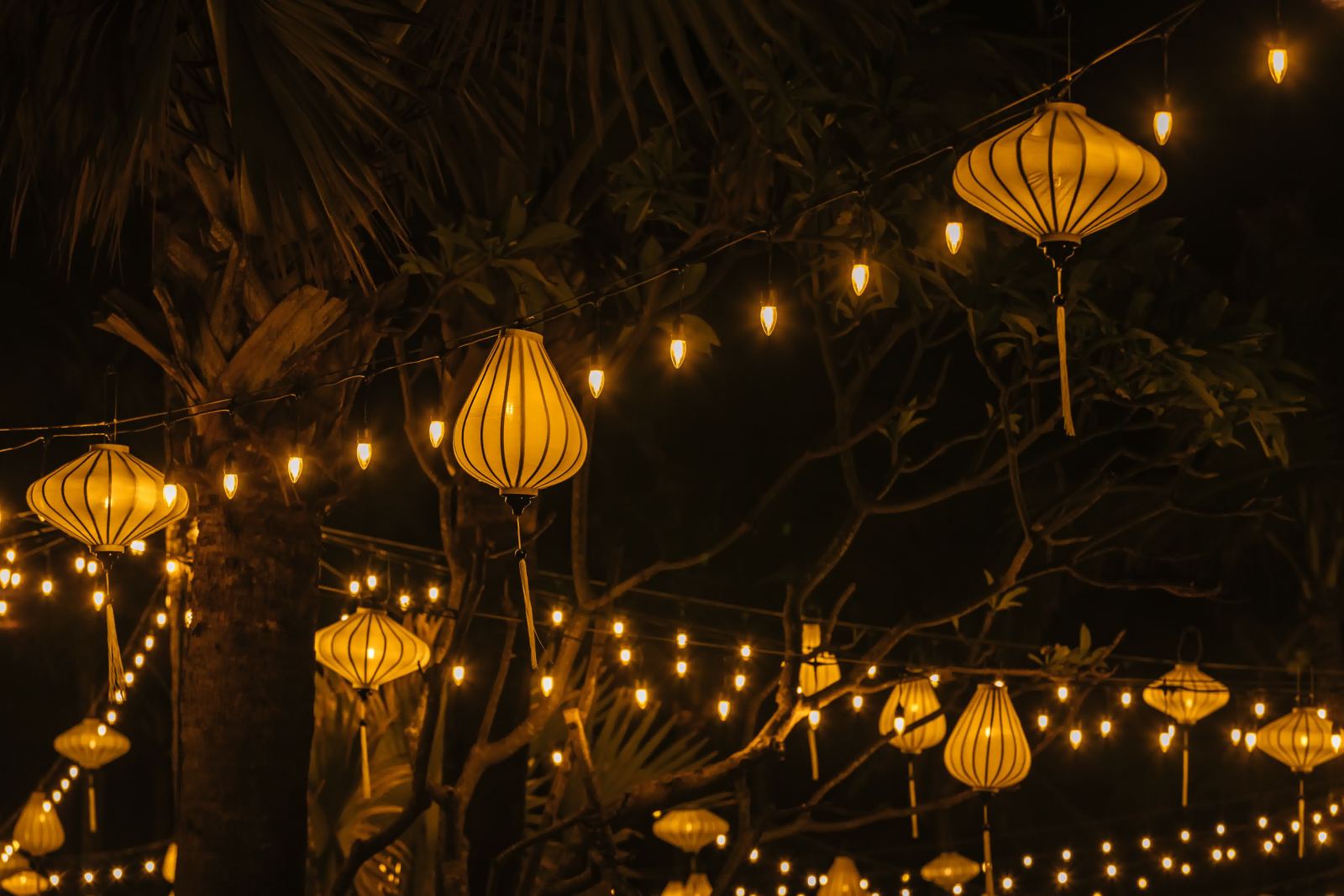 Illuminated silk lanterns strung above a street in Hoi An